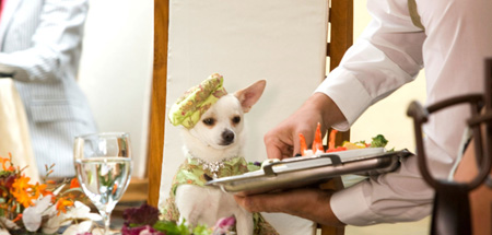 When I take over the world, I will kill you last.