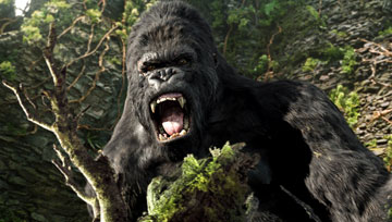 Kong hate strange calendar configurations! 