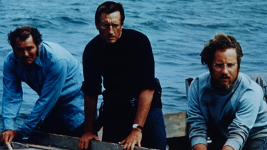 Why did it have to be sharks?